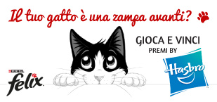 Il tuo Gatto è una Zampa Avanti?