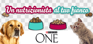 Un nutrizionista al tuo fianco