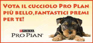 Foto cuccioli di razza