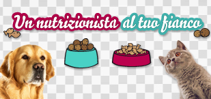 Un nutrizionista al tuo fianco