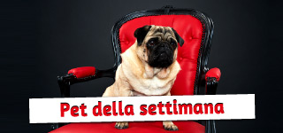 rubrica_pet_della_settimana
