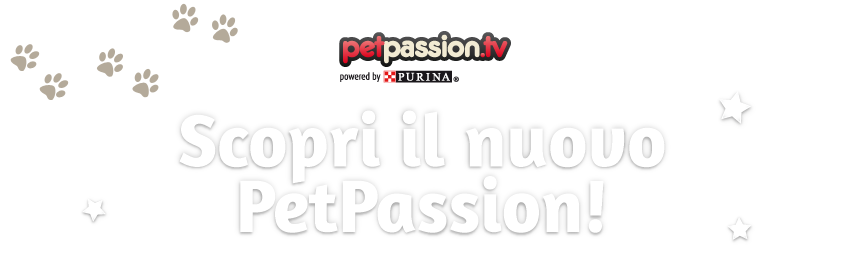 Petpassion