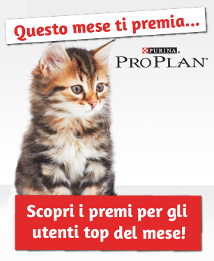 Scopri i premi
