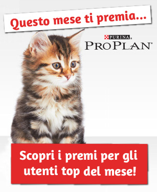 Scopri i premi