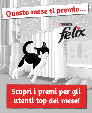 Scopri i premi