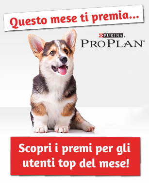 Scopri i premi