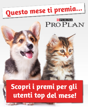 Scopri i premi